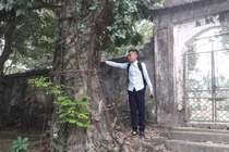 Dân làng sung sướng vì được bán cây sưa định giá 100 tỷ đồng 