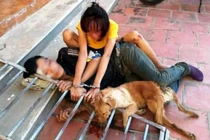 Bắt 10 “cẩu tặc” trộm hơn 40 con chó trong 1 đêm