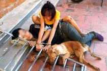 Bắt 10 “cẩu tặc” trộm hơn 40 con chó trong 1 đêm