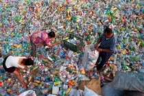 Một quyết định cấm cửa của Trung Quốc, toàn cầu xáo động