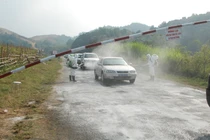 Lào Cai nỗ lực phòng, chống dịch tả lợn châu Phi