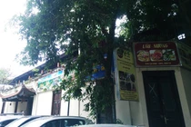 Nhà hát múa rối Việt Nam bị “xẻ thịt”: Giám đốc, trưởng phòng có quan hệ gì?