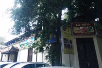 Nhà hát múa rối Việt Nam bị “xẻ thịt”: Giám đốc, trưởng phòng có quan hệ gì?