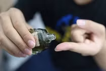 Sử dụng dầu gió sai cách có thể gây nguy hiểm