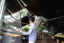 Hà Nội: Cành cây lớn gãy đổ vào quán ăn, nhiều người tháo chạy 