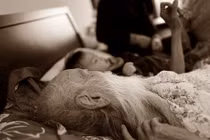 Cháu ngoại PGS Văn Như Cương kể lại phút cuối của thầy