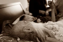 Cháu ngoại PGS Văn Như Cương kể lại phút cuối của thầy