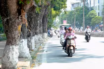 Thời tiết hôm nay: Hà Nội nắng ấm, nhiệt độ cao nhất 25 độ C