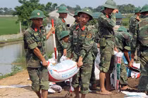 Ngập lụt ở Chương Mỹ: Huy động hàng trăm bộ đội cùng dân hộ đê tả Bùi 