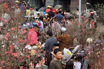 Người Hà Nội chen nhau nghẹt thở ở chợ hoa ngày 29 Tết