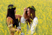 Ảnh: Đẹp mê hồn thiếu nữ tạo dáng giữa đồng cải vàng