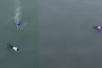 Hốt hoảng chứng kiến nam thanh niên nhảy sông cứu cô gái tự tử