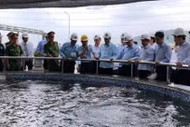 Thủ tướng Nguyễn Xuân Phúc thị sát tại Formosa Hà Tĩnh