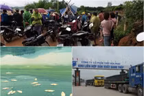 Tập đoàn Hòa Phát “đẻ” Cty con ở tỉnh... đều dính “án bức tử” môi trường?