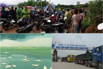 Tập đoàn Hòa Phát “đẻ” Cty con ở tỉnh... đều dính “án bức tử” môi trường?