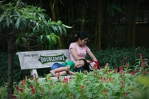 HN: Dân vất vưởng, rác thải vây kín vườn thú kỳ nghỉ 30/4 - 1/5