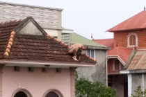 Bố ném con một tuổi xuống đất khai gì với cảnh sát?