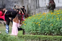 Ảnh: Sinh viên quần nát Văn Miếu khi chụp ảnh kỷ yếu