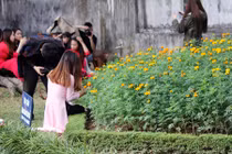 Ảnh: Sinh viên quần nát Văn Miếu khi chụp ảnh kỷ yếu