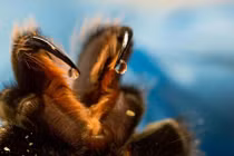 Khoảnh khắc độc lạ hiếm có từ bộ ảnh khoa học