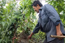 Vết máu tố giác nghi can giết người phân xác hàng xóm