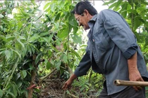 Vết máu tố giác nghi can giết người phân xác hàng xóm