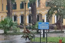 Nhiều học sinh bị cây đổ trúng người giữa sân trường Chu Văn An - HN