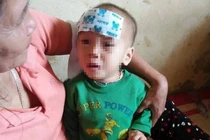 Nhói lòng bé gái 15 tháng tuổi bị bỏ rơi ở bụi tre