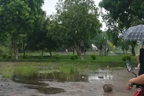 Hãi hùng phát hiện người đàn ông chết treo cổ ở hồ Đền Lừ