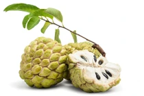 Video: 6 loại quả tuyệt đối không nên ăn buổi tối 