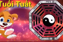 Video: 5 con giáp thành công vang dội, thăng quan tiến chức trong tháng 7