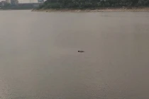 Ảnh: Bàng hoàng phát hiện thi thể nổi giữa hồ Linh Đàm