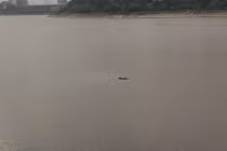 Ảnh: Bàng hoàng phát hiện thi thể nổi giữa hồ Linh Đàm