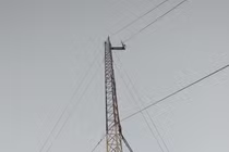 Giám đốc taxi Nguyên Minh lắp cột ăng ten: Trách nhiệm phường ở đâu? 