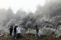 Ngỡ ngàng hình ảnh mưa tuyết phủ trắng Sapa, Lào Cai