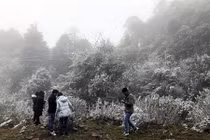 Ngỡ ngàng hình ảnh mưa tuyết phủ trắng Sapa, Lào Cai