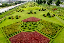 Cận cảnh thảm cỏ đại lộ Thăng Long tốn 53 tỷ cắt tỉa mỗi năm