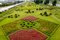 Cận cảnh thảm cỏ đại lộ Thăng Long tốn 53 tỷ cắt tỉa mỗi năm