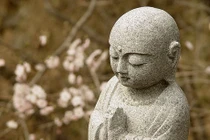 Tam bành lục tặc là gì? 