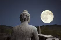 Hạt ngọc trí tuệ