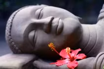 Phước duyên được gặp Phật