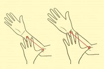 Hình dáng bàn tay nói gì về bạn?