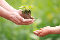 Từ bi luôn song hành với trí tuệ