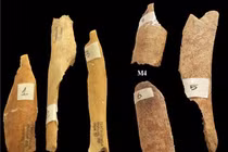 Phát hiện chấn động về chuyện ăn thịt người thời tiền sử 