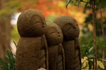 Trái tim nhân từ