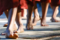 Vô tình sát sanh có tội không?