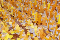 Bát kỉnh pháp là gì? 