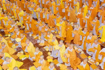 Bát kỉnh pháp là gì? 