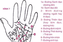 Đoán vận mệnh qua những đường sinh mệnh thường gặp