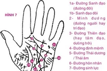 Đoán vận mệnh qua những đường sinh mệnh thường gặp